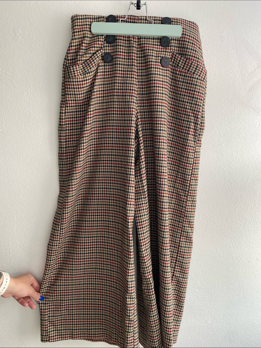 Zara Multi-Color Checked Ankle Crop Pants
